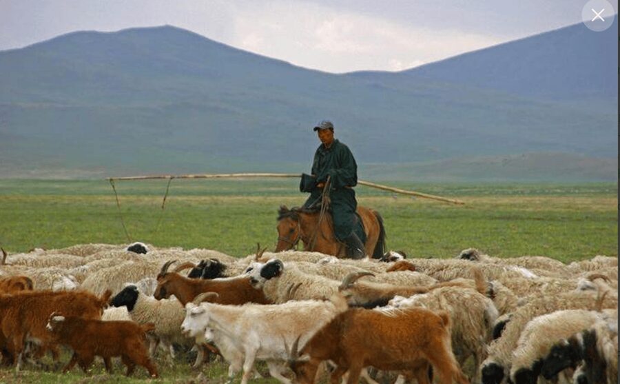 MONGOLIAN NOMADS: 2-Day Horse Trekking & Cow Milking Tour - Price and Logistics: Is $369 Good Value for This 2-Day Taste of Nomad Life?