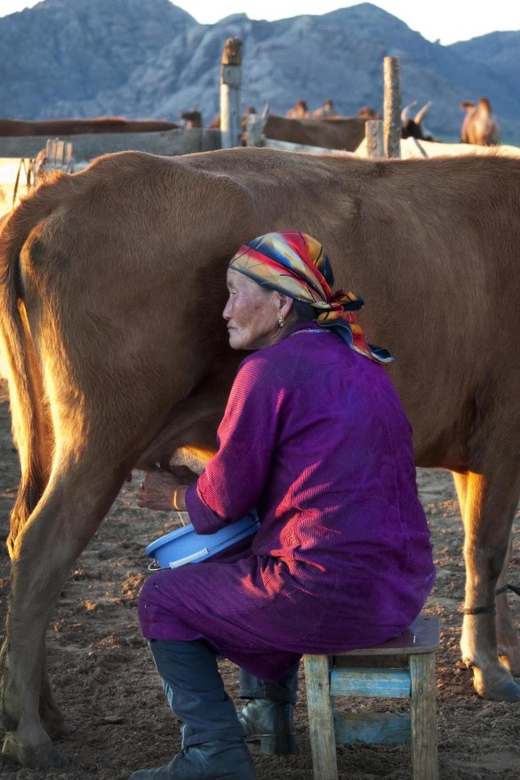 MONGOLIAN NOMADS: 2-Day Horse Trekking & Cow Milking Tour - Who Should Book This Nomads Horse Trek, and Who Should Skip It