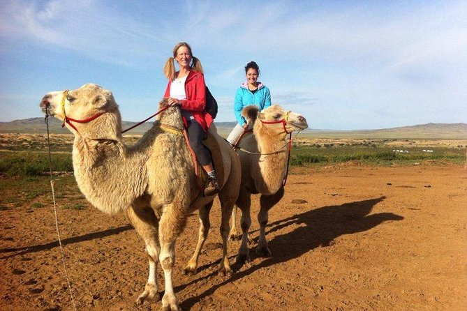 Overnight Semi-Gobi Tour with Nomadic HomeStay - Key highlights to know before you go