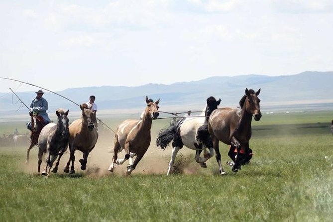 Overnight Semi-Gobi Tour with Nomadic HomeStay - Why the Semi-Gobi weekend from Ulaanbaatar works