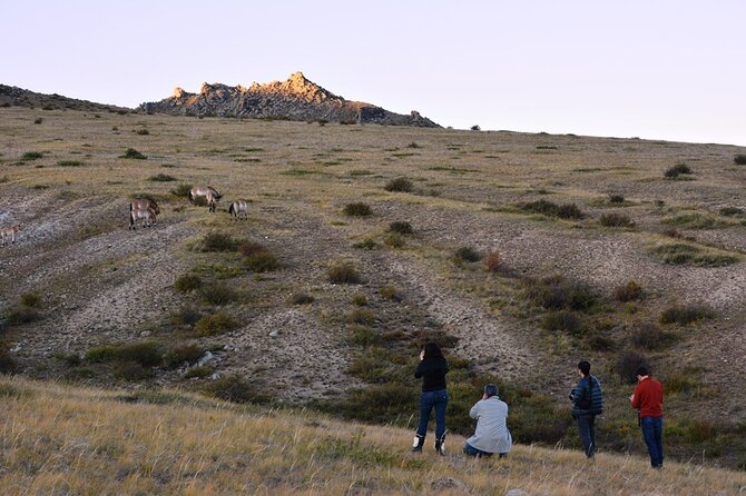 Private 3-Day Tour of National Parks From Ulaanbaatar - Day 3: Turtle Rock, Ariyabal Meditation Temple, and the Genghis Khan Statue Complex