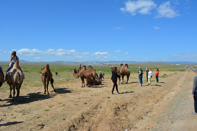 Private 3-Day Tour of National Parks From Ulaanbaatar - Guide quality matters: having one person to translate Mongolia to you