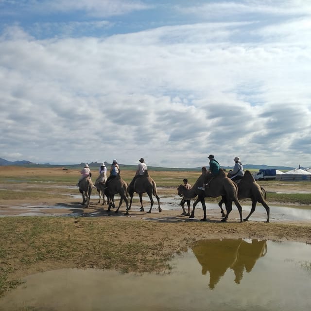 Terelj National Park: Tour with horse riding and hiking - The ger night: shared stays, warm sleep, and organic greenhouse meals