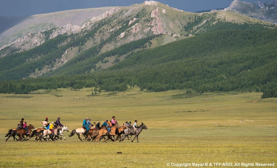 Terelj National Park: Tour with horse riding and hiking - Day 1: Turtle Rock, Aryabala meditation, and your first steppe day