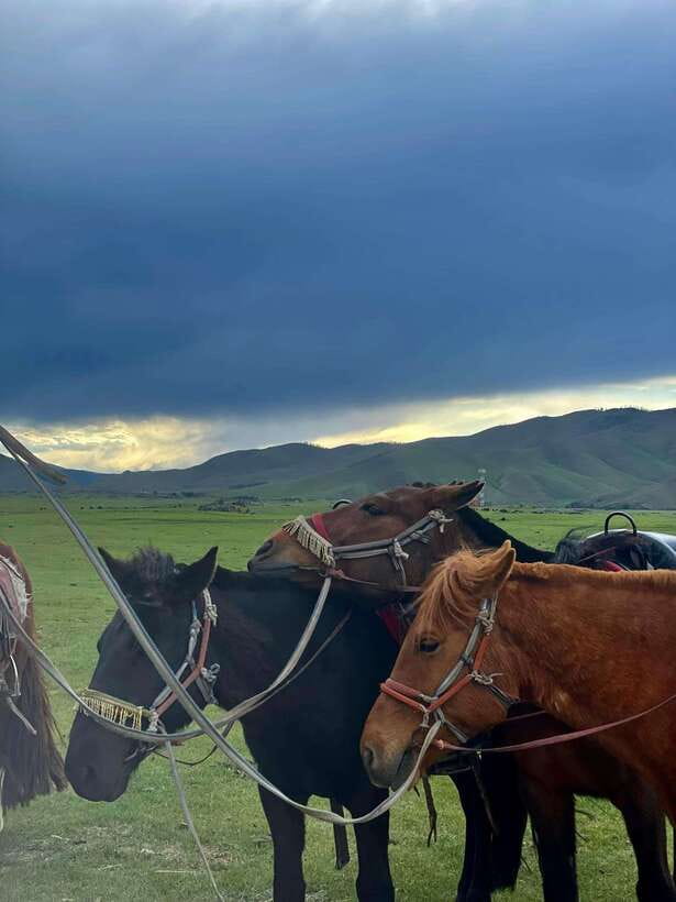 Terelj national park transport /Best price tour - How This 8-Hour Ulaanbaatar Day Route Really Works
