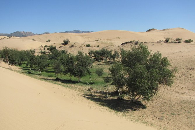 The Best of Central Mongolia Tour in 5 Days - Day 1 in Khugnu Tarna: steppe time with a nomadic family