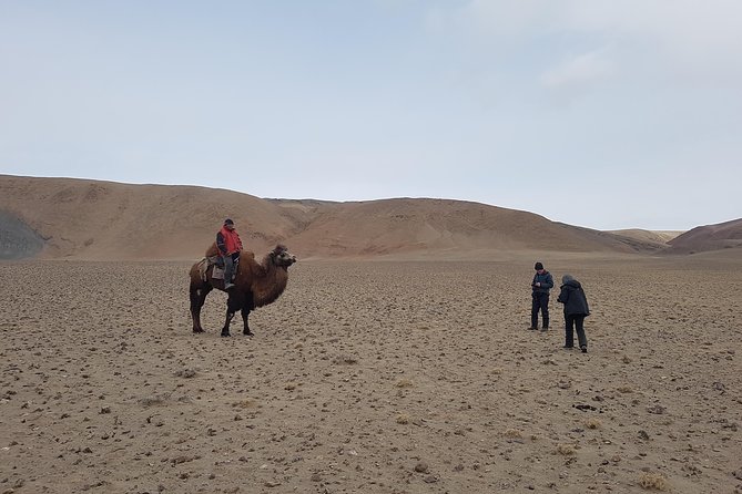 The Land Of Eagle Hunters - Should you book The Land Of Eagle Hunters?