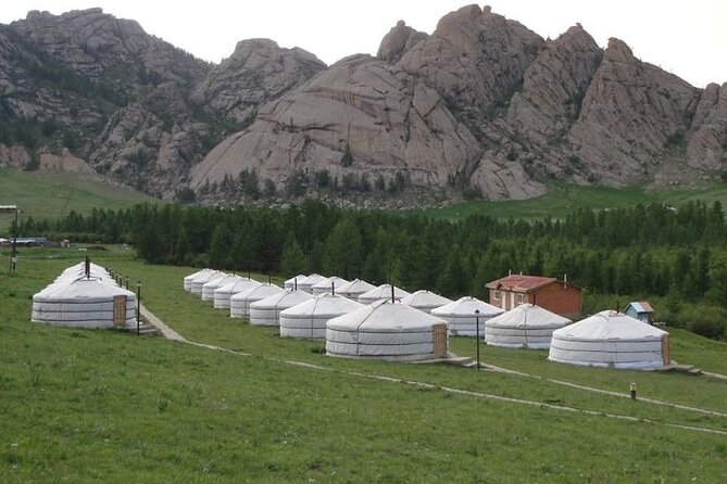 Transfer service to Terelj national park - Timing, weather, and keeping it stress free