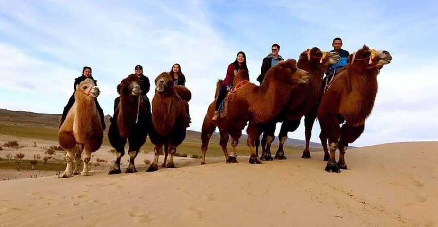 Ulaanbaatar: Semi-Gobi Desert Day Trip & Camel Ride - Lunch that keeps the desert day from getting weird
