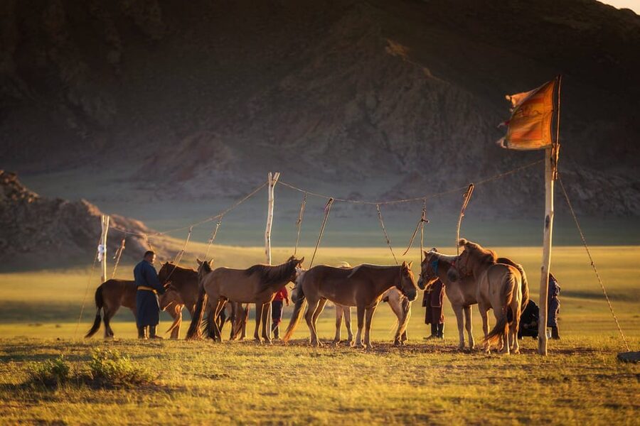 Ulaanbaatar: Semi-Gobi Desert Day Trip & Camel Ride - The nomadic family visit: traditions you can actually see