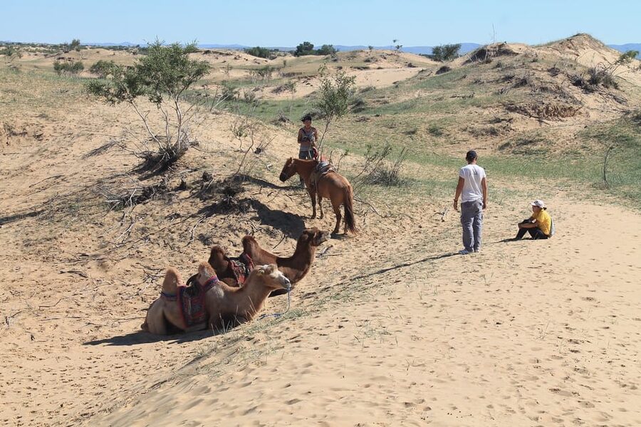 Ulaanbaatar: Semi-Gobi Desert Day Trip & Camel Ride - Guide quality: why English storytelling changes the whole day
