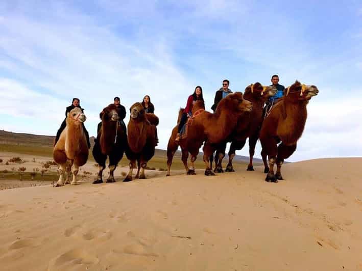 Ulaanbaatar: Semi-Gobi Desert Day Trip & Camel Ride - The long drive: why the ride matters as much as the dunes